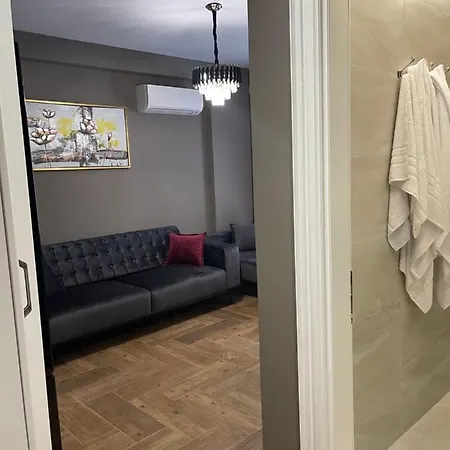 Luxury Apartment